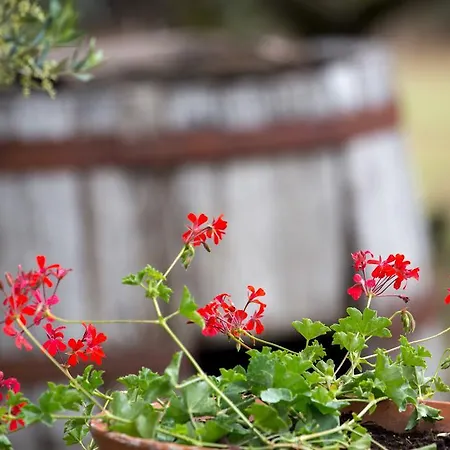 La Montagnola Agroturismo Torgiano