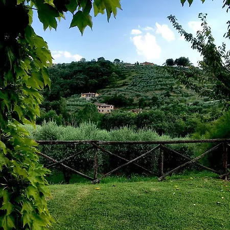 La Montagnola