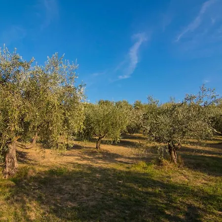 Agroturismo La Montagnola *